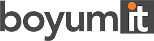 Boyum IT Logo
